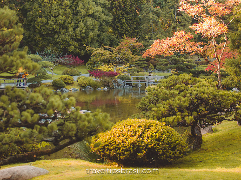 Seattle-japanese-garden