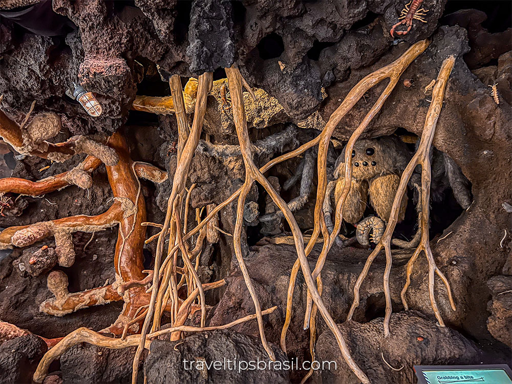 underground-adventure-field